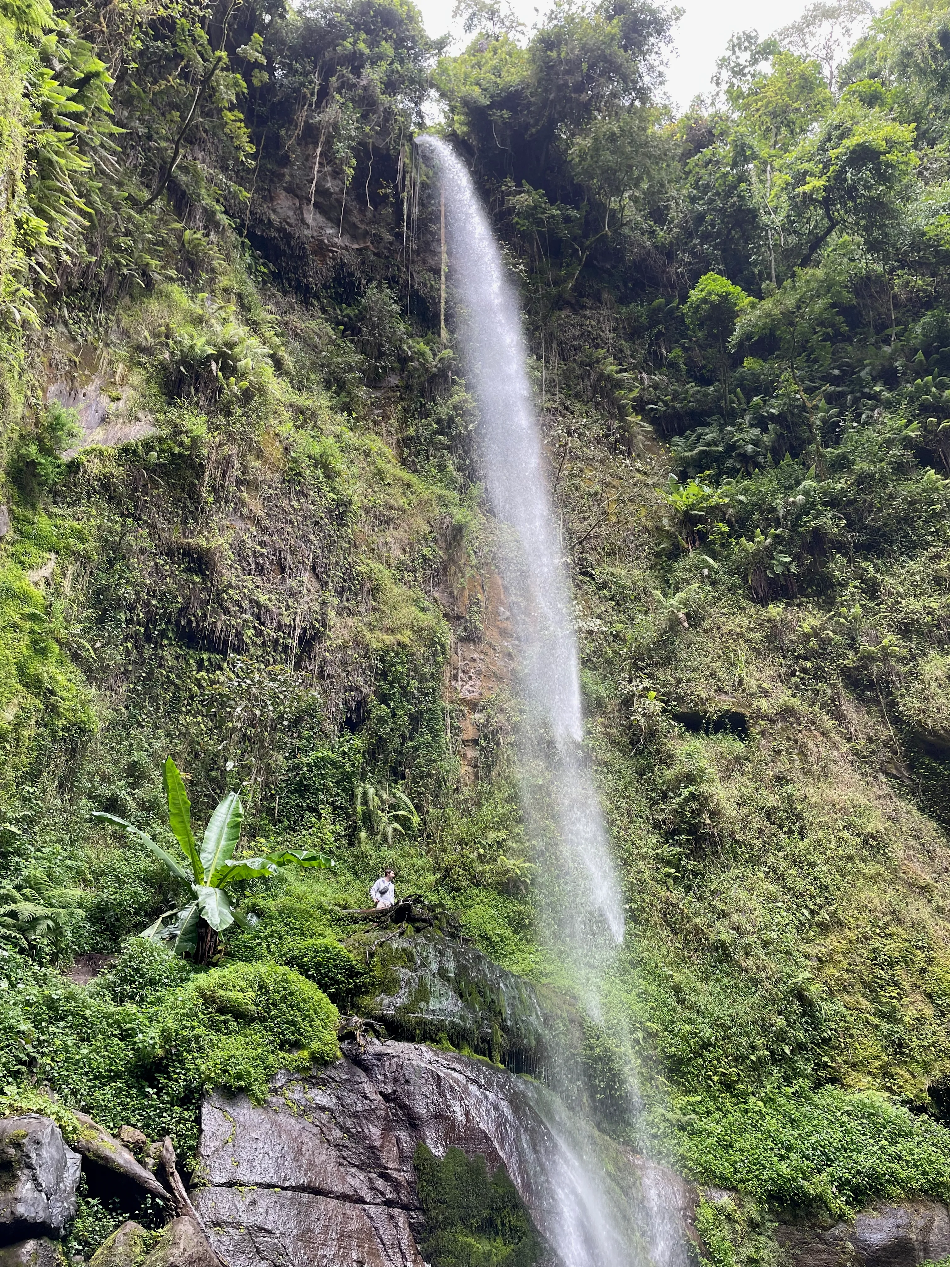Napuru Waterfalls surrounded by green forest near Arusha